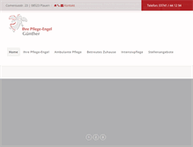 Tablet Screenshot of pflegeengel-plauen.de